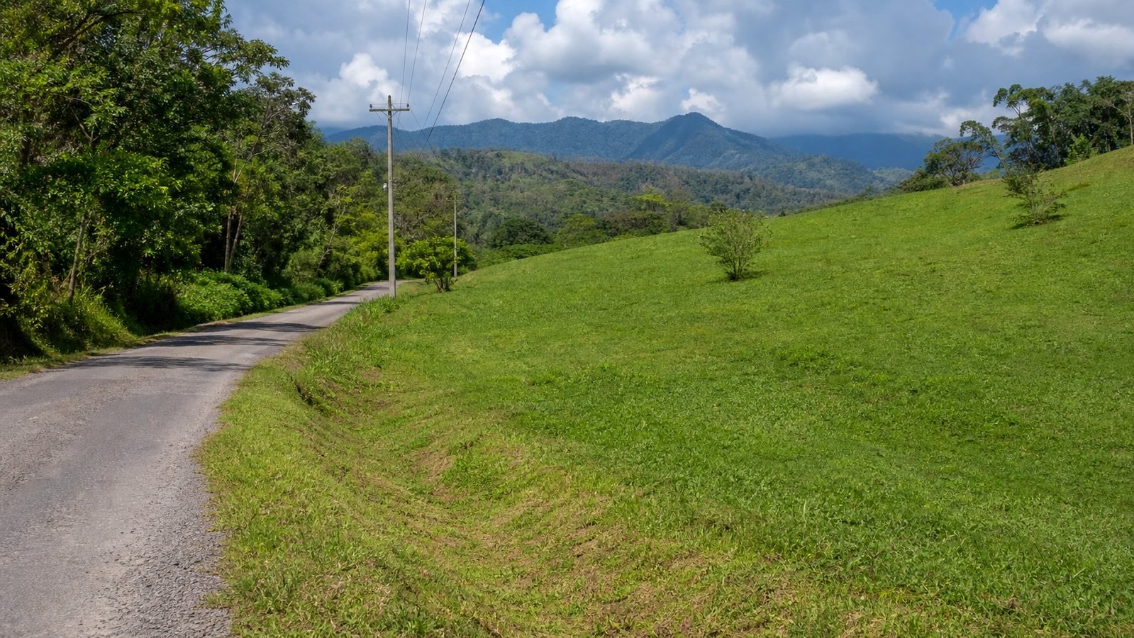 Terreno verde con acceso vial, pendiente suave y postes de electricidad cercanos